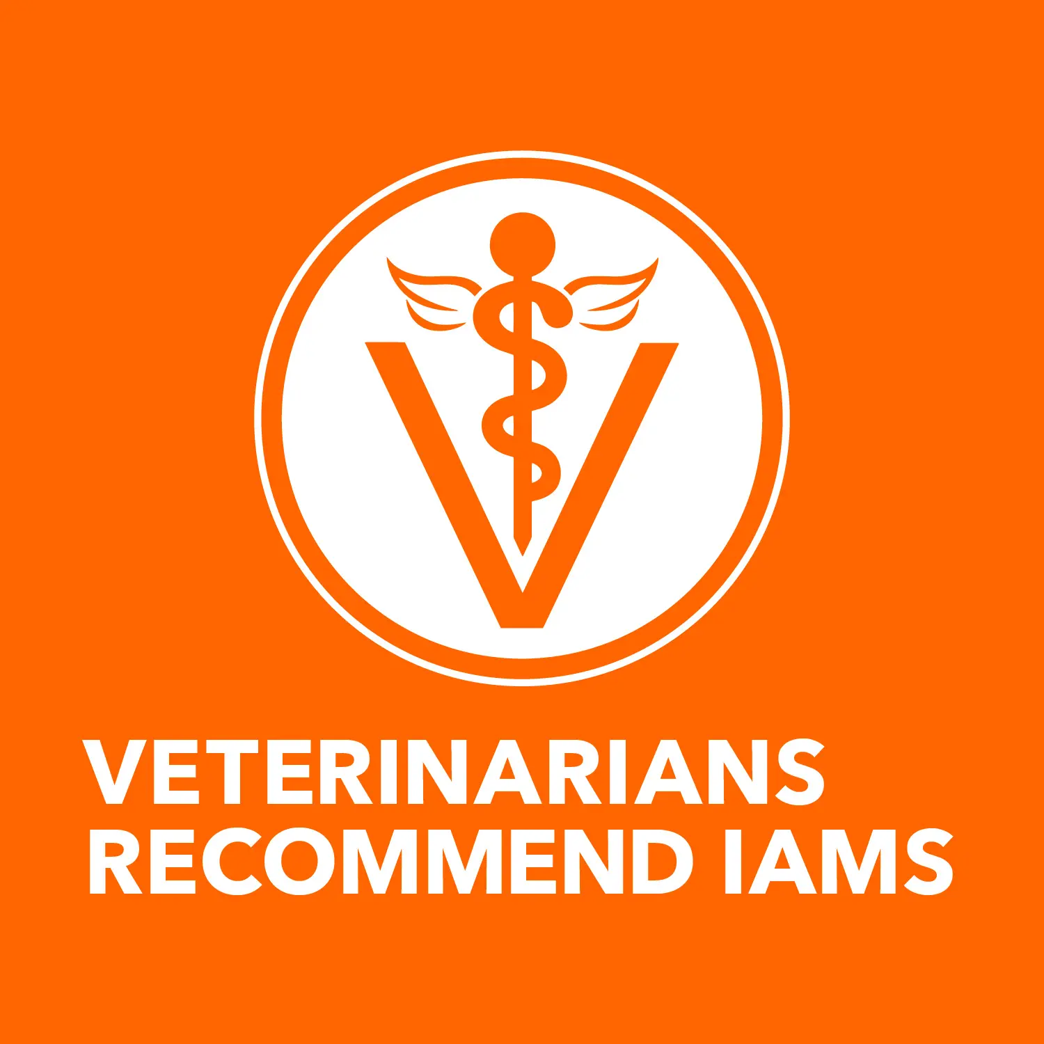 IAMS Proactive Health Senior Dry Cat Food Chicken 7-lb - Image 10