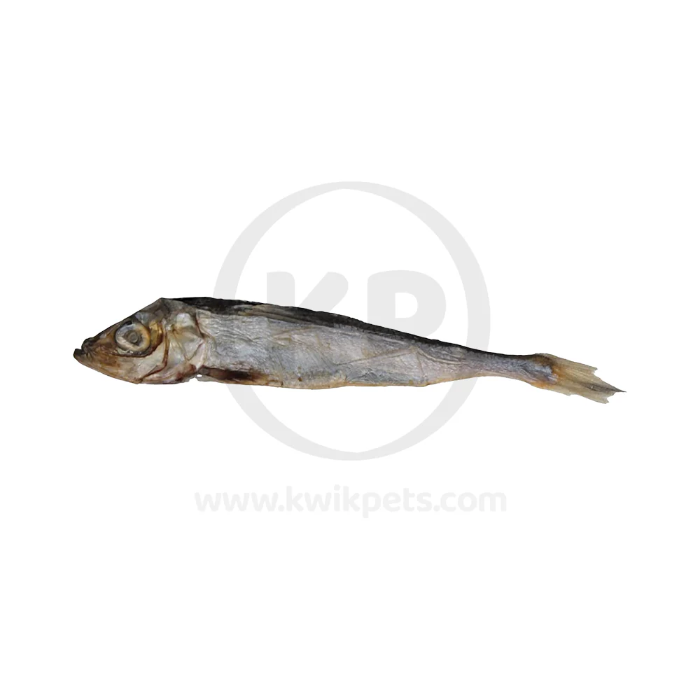 Icelandic+ Herring Whole Fish Dog Treats 3-oz - Image 5
