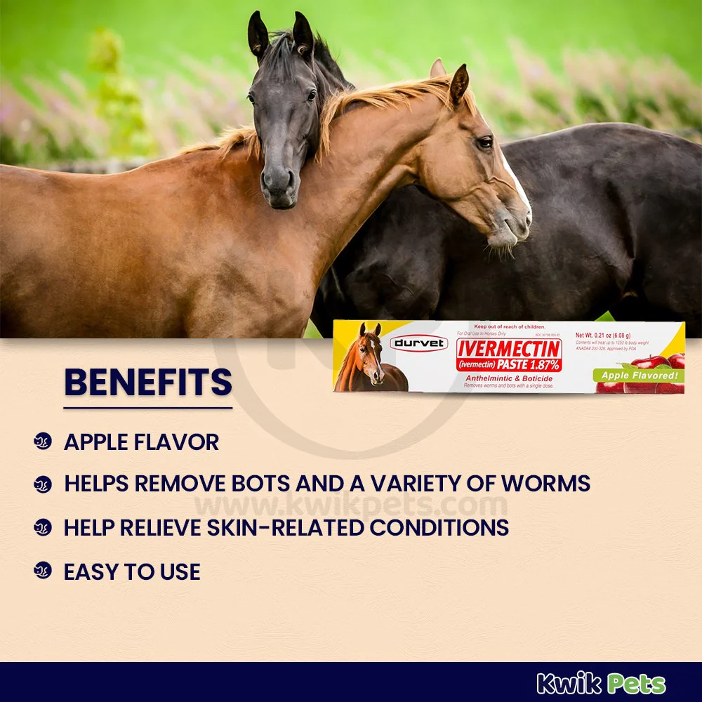 Durvet lvermectin Horse Dewormer Paste Apple Flavor 0.21-Oz - Image 2