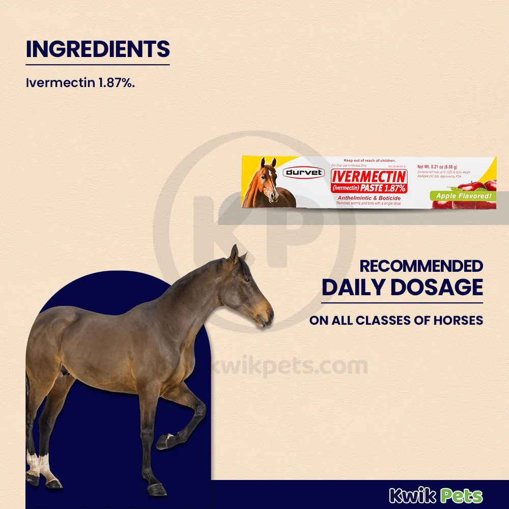Durvet lvermectin Horse Dewormer Paste Apple Flavor 0.21-Oz - Image 3