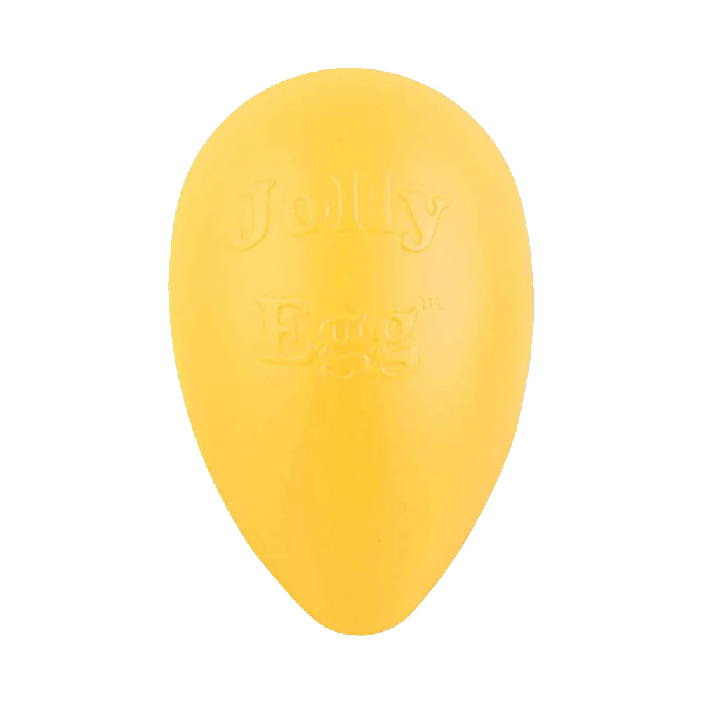Jolly Pet Egg Hard Plastic Dog Toy Yellow Large 12-in