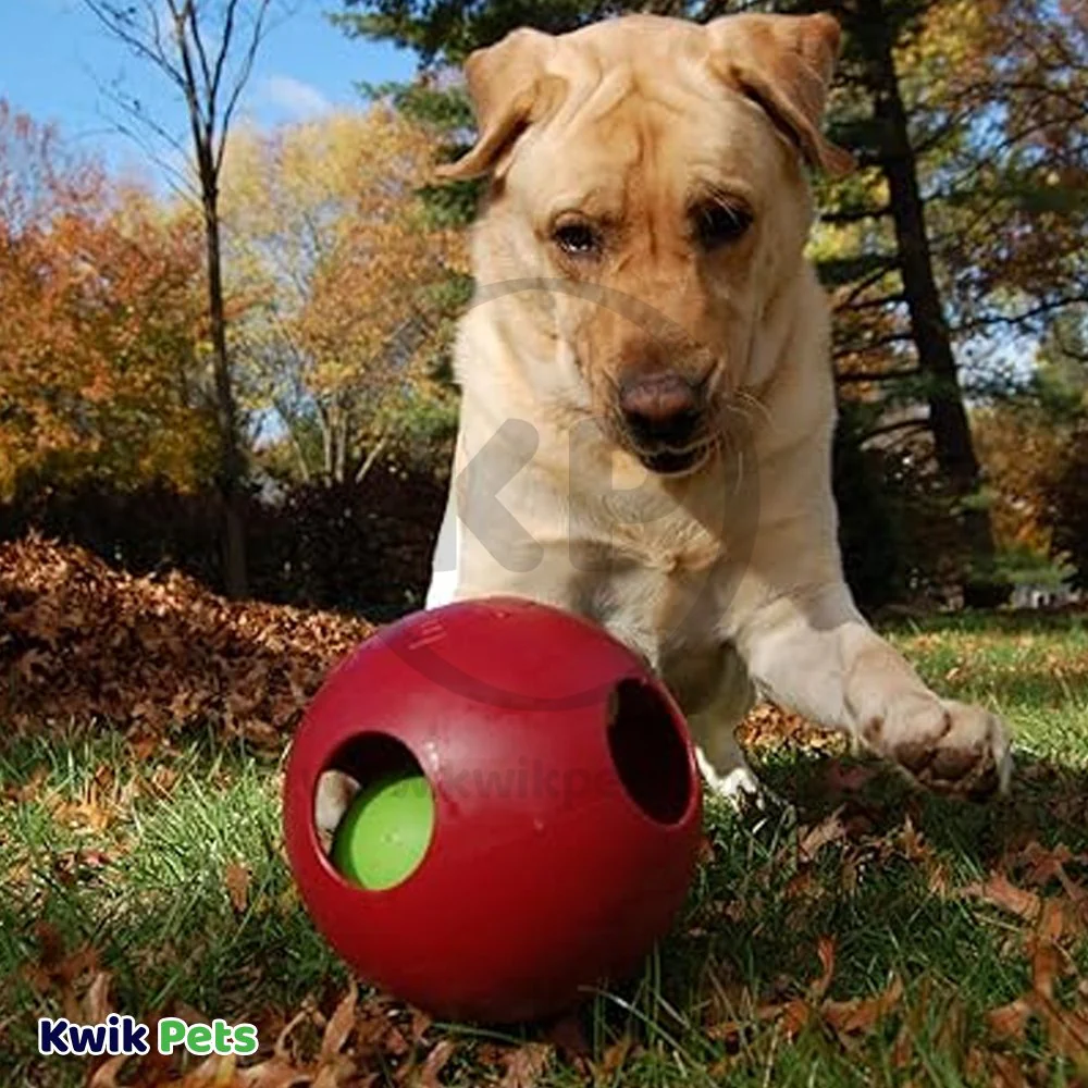 Jolly Pet Teaser Ball Dog Toy Red Large 8-in - Image 6