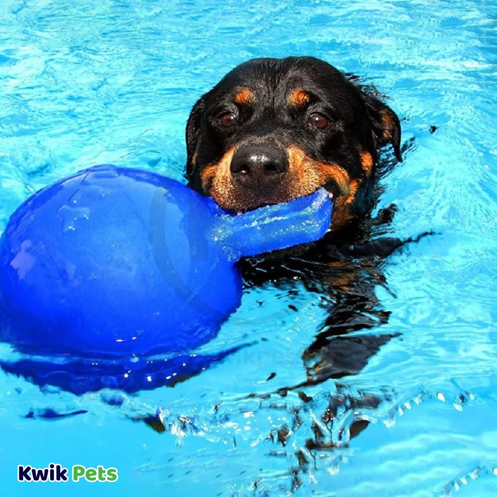 Jolly Pet Tug-n-Toss Mini Dog Toy Blue Small 3-in - Image 6