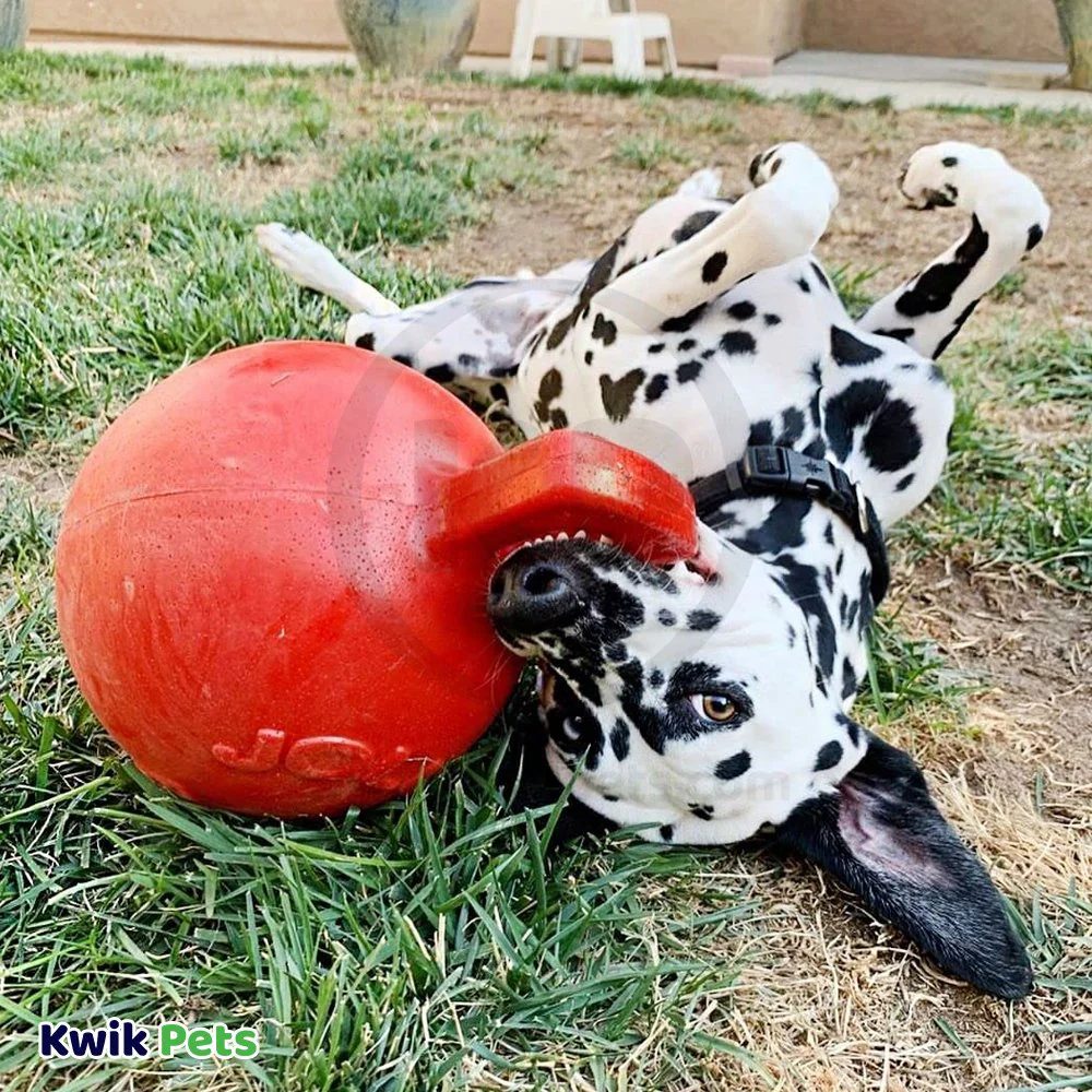 Jolly Pet Tug-n-Toss Mini Dog Toy Red Large 4-in - Image 5