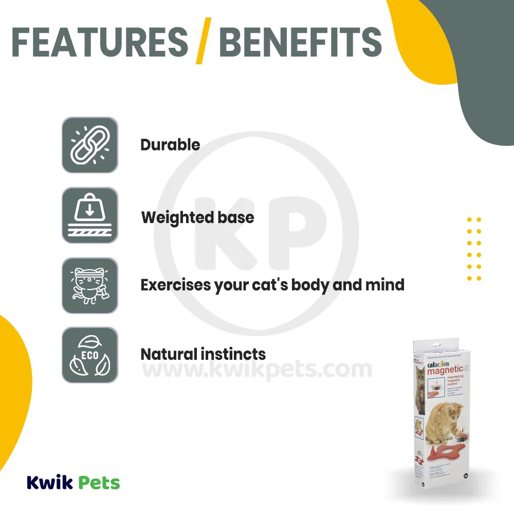 JW Pet Magneticat Interactive Cat Toy - Image 2