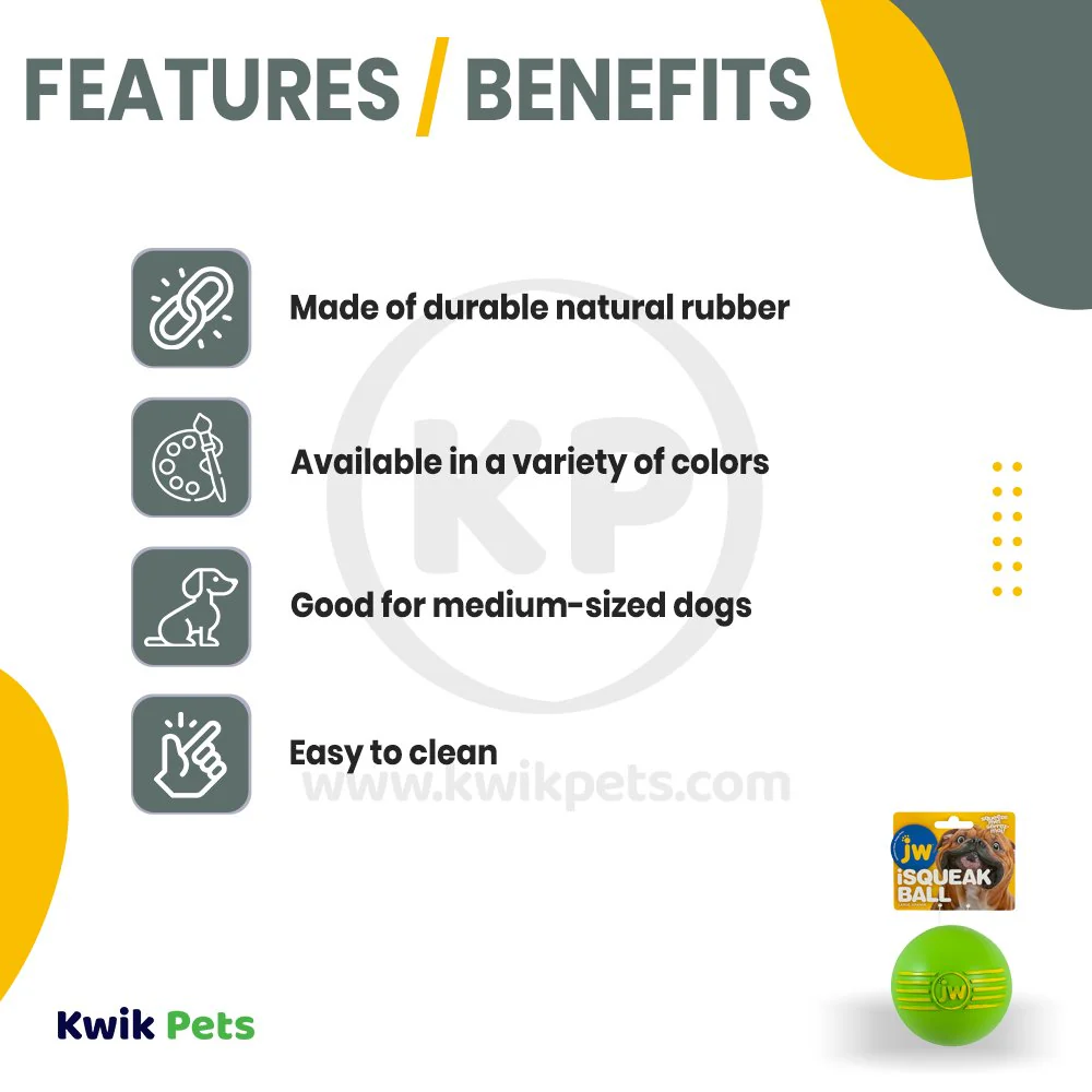 JW Pet iSqueak Ball Dog Toy Assorted Large - Image 2
