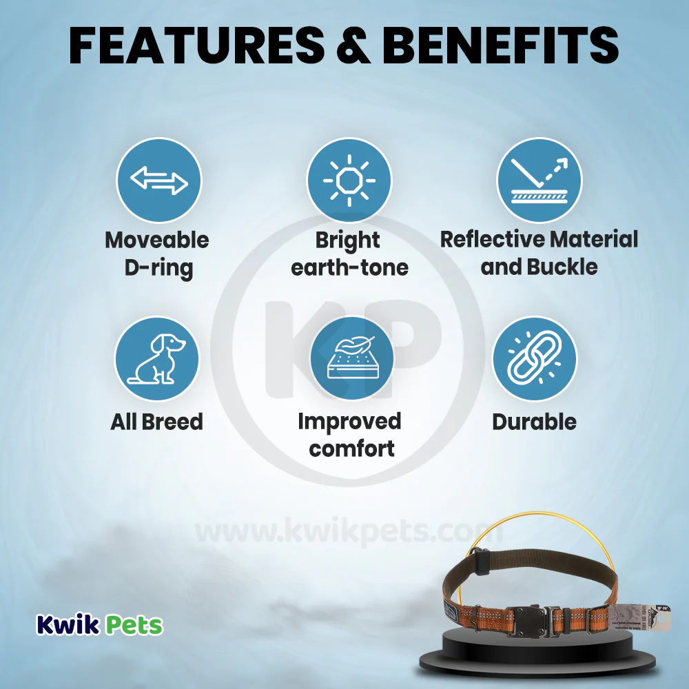 Coastal K9 Explorer Reflective Adjustable Dog Collar Campfire Orange 1 in X 12-18 in - Image 2