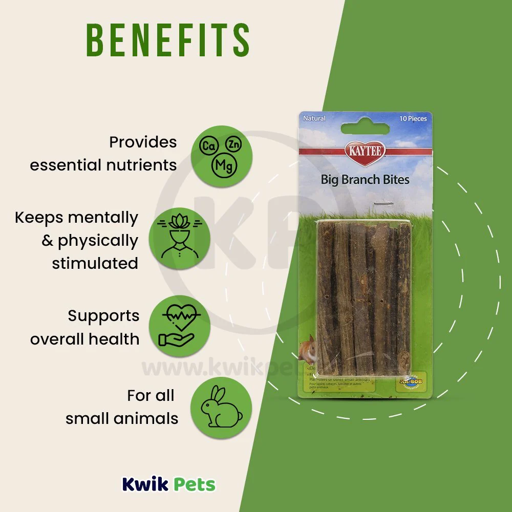 Kaytee Natural Big Branch Bites for Small Animals 10 Count - Image 4