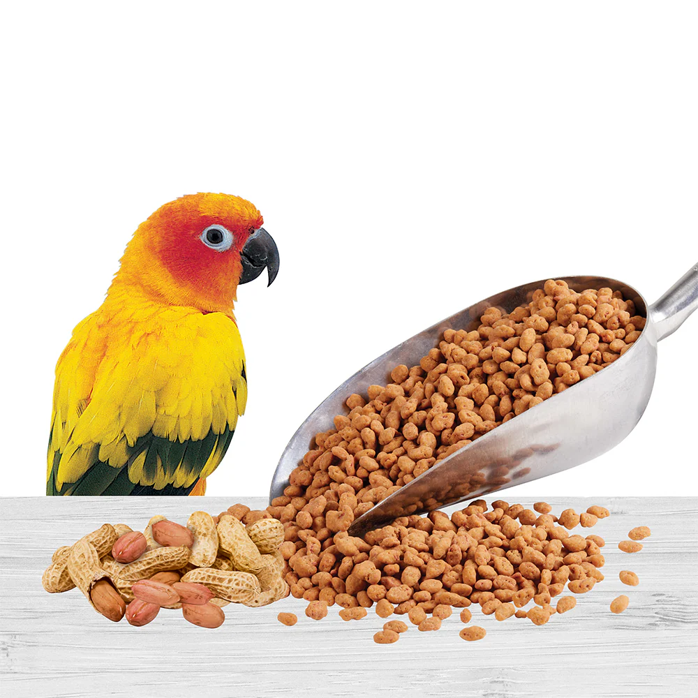 Kaytee Bonding Bites Bird Training Treats Peanut Butter 3-oz - Image 7