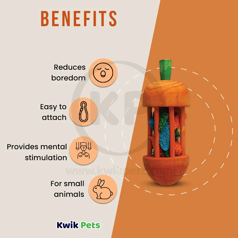 Kaytee Carousel Chew Toy Carrot for Small Animals Large - Image 4