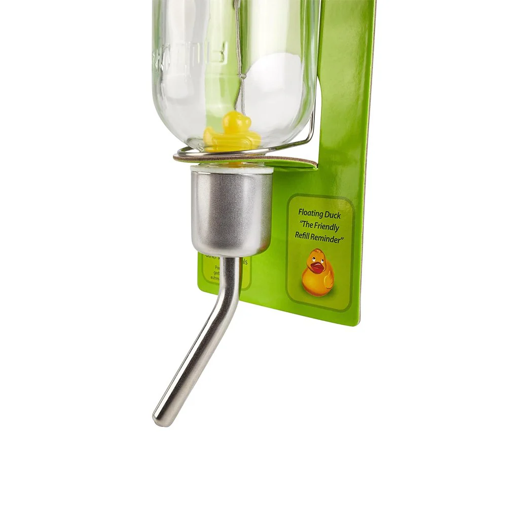 Kaytee Chew-Proof Water Bottle Clear 6-oz - Image 5