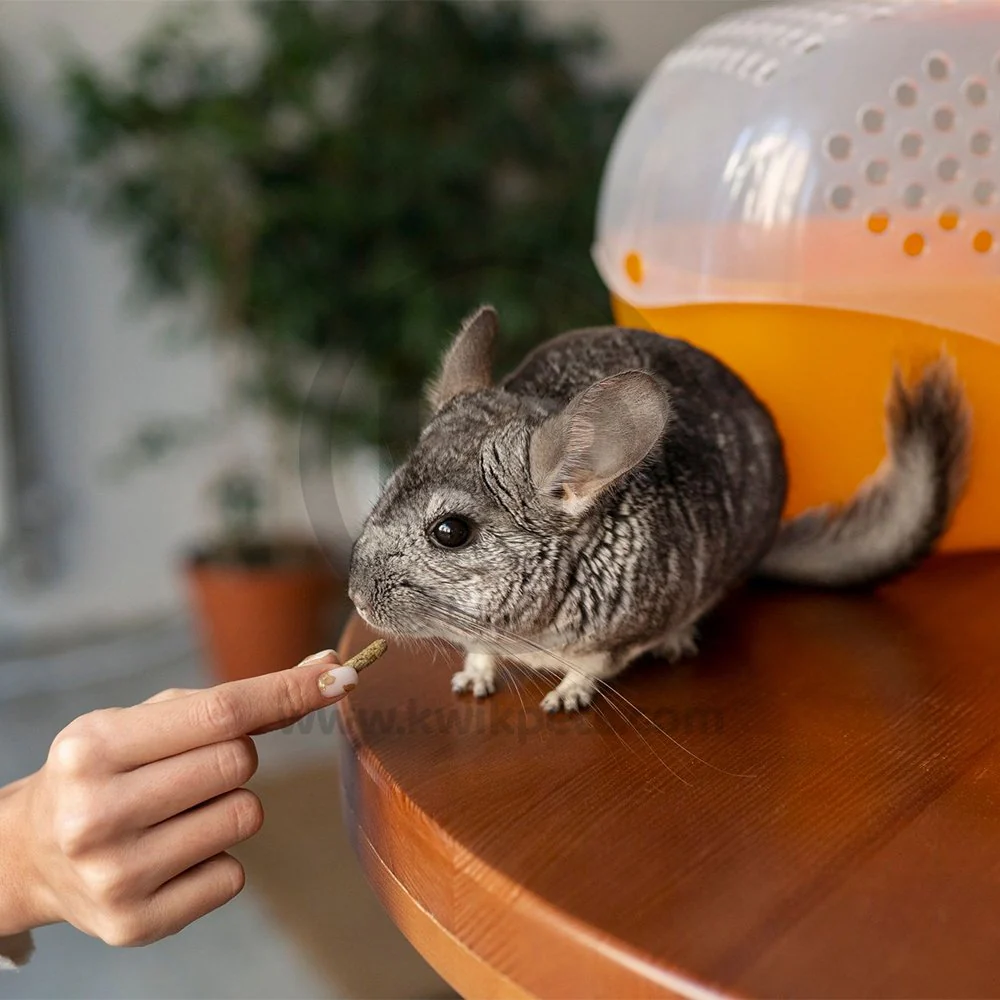 Kaytee Apple Slices Combo Chews for Small Animals 3 Count - Image 4
