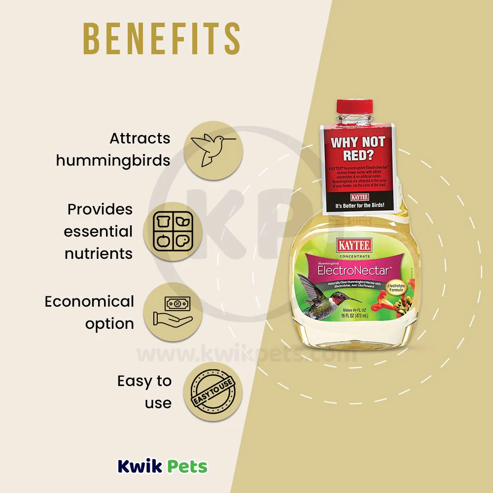 Kaytee Hummingbird ElectroNectar Clear Food Concentrate 16-oz - Image 3