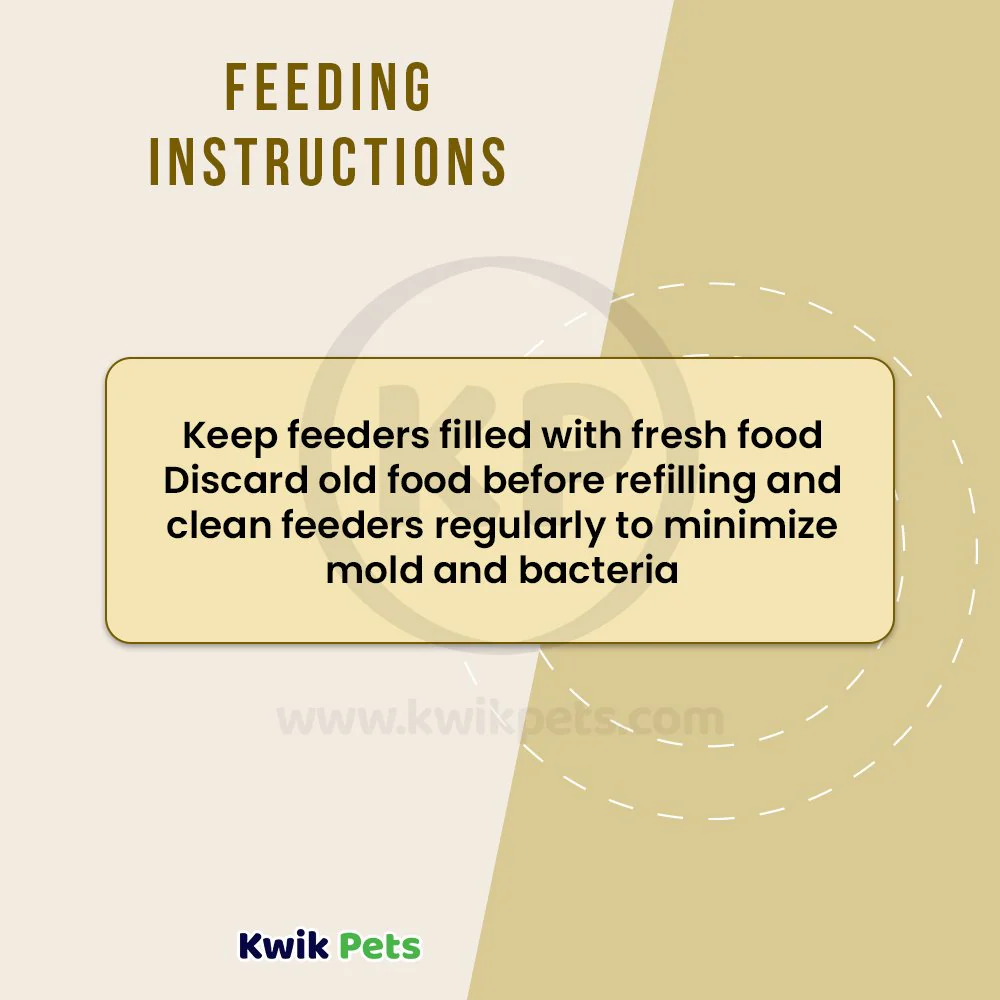 Kaytee Hummingbird ElectroNectar Clear Food Concentrate 16-oz - Image 5