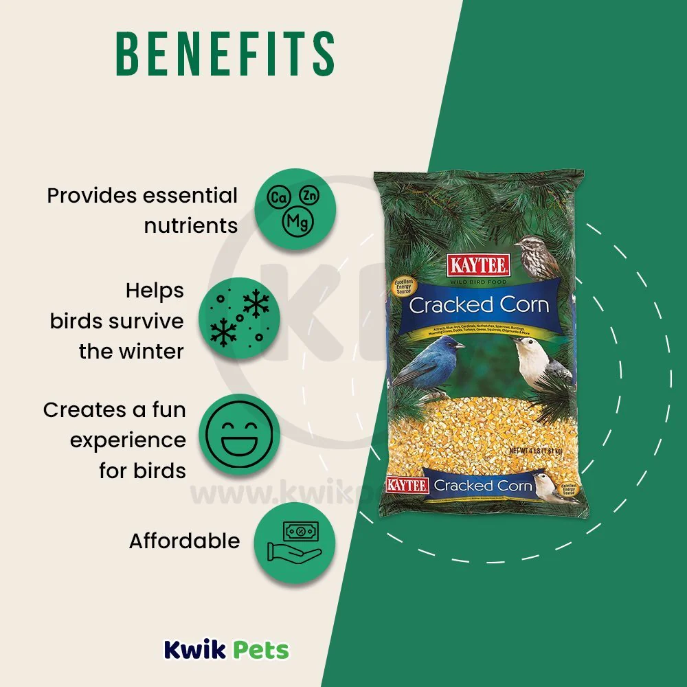 Kaytee Cracked Corn Wild Bird Food 4-lb - Image 4