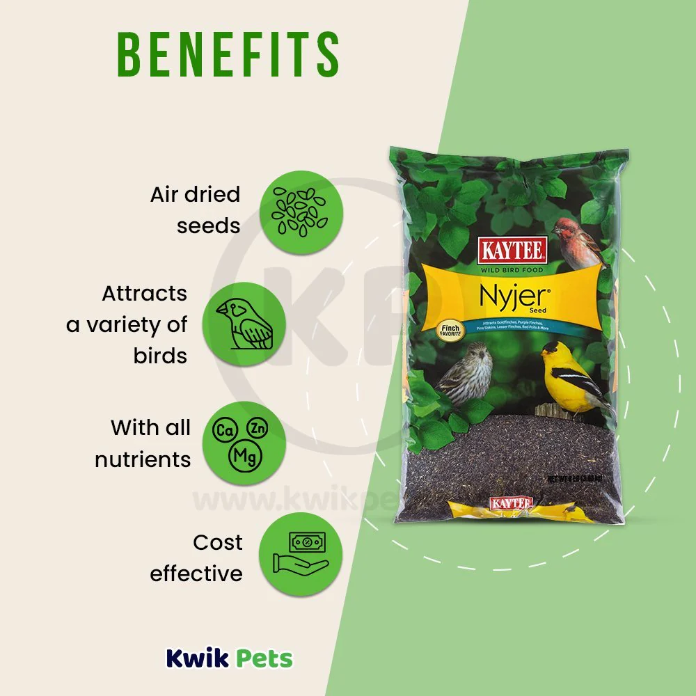 Kaytee Nyjer Seed Wild Bird Food 8-lb - Image 4