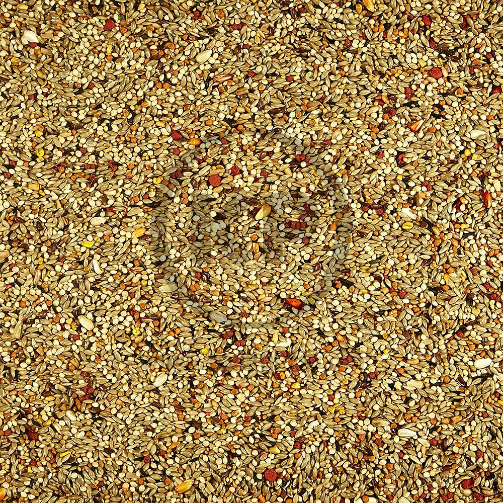 Kaytee Orange Flavored Parakeet Bird Treat 10-oz - Image 7