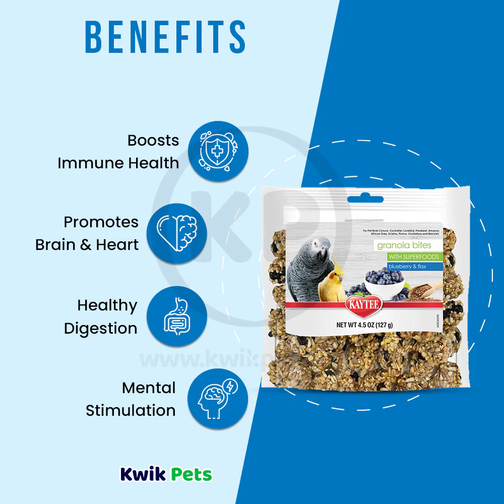 Kaytee Granola Bites with Superfoods Blueberry & Flax Pet Bird Treats 4.5-oz - Image 4