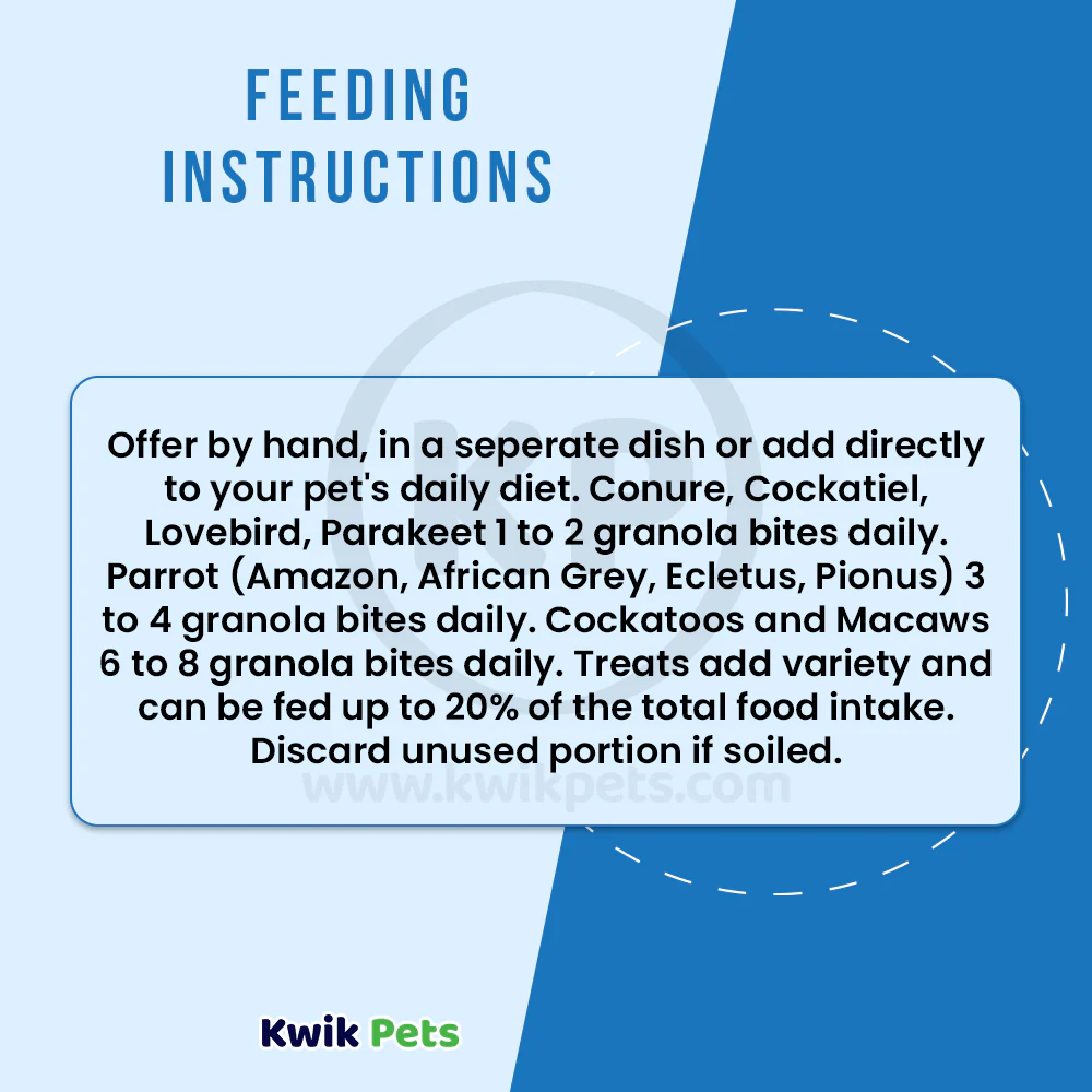 Kaytee Granola Bites with Superfoods Blueberry & Flax Pet Bird Treats 4.5-oz - Image 6