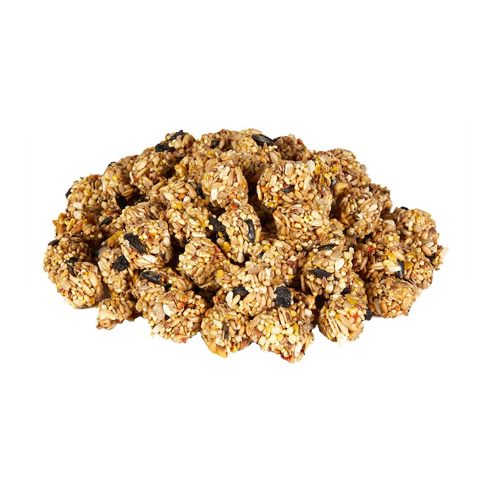 Kaytee Granola Bites with Superfoods Blueberry & Flax Pet Bird Treats 4.5-oz - Image 7