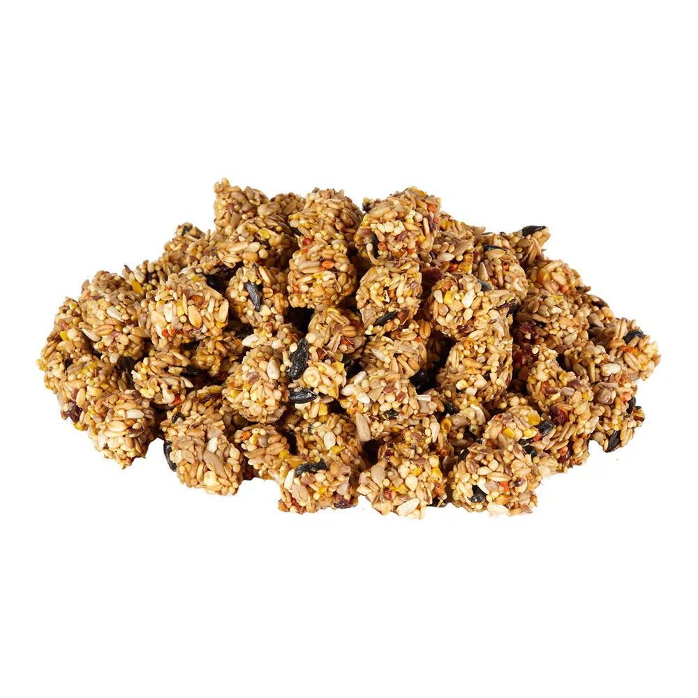 Kaytee Granola Bites with Superfoods Cranberry, Apple and Flax Small Animal Treats 4.5-oz - Image 7