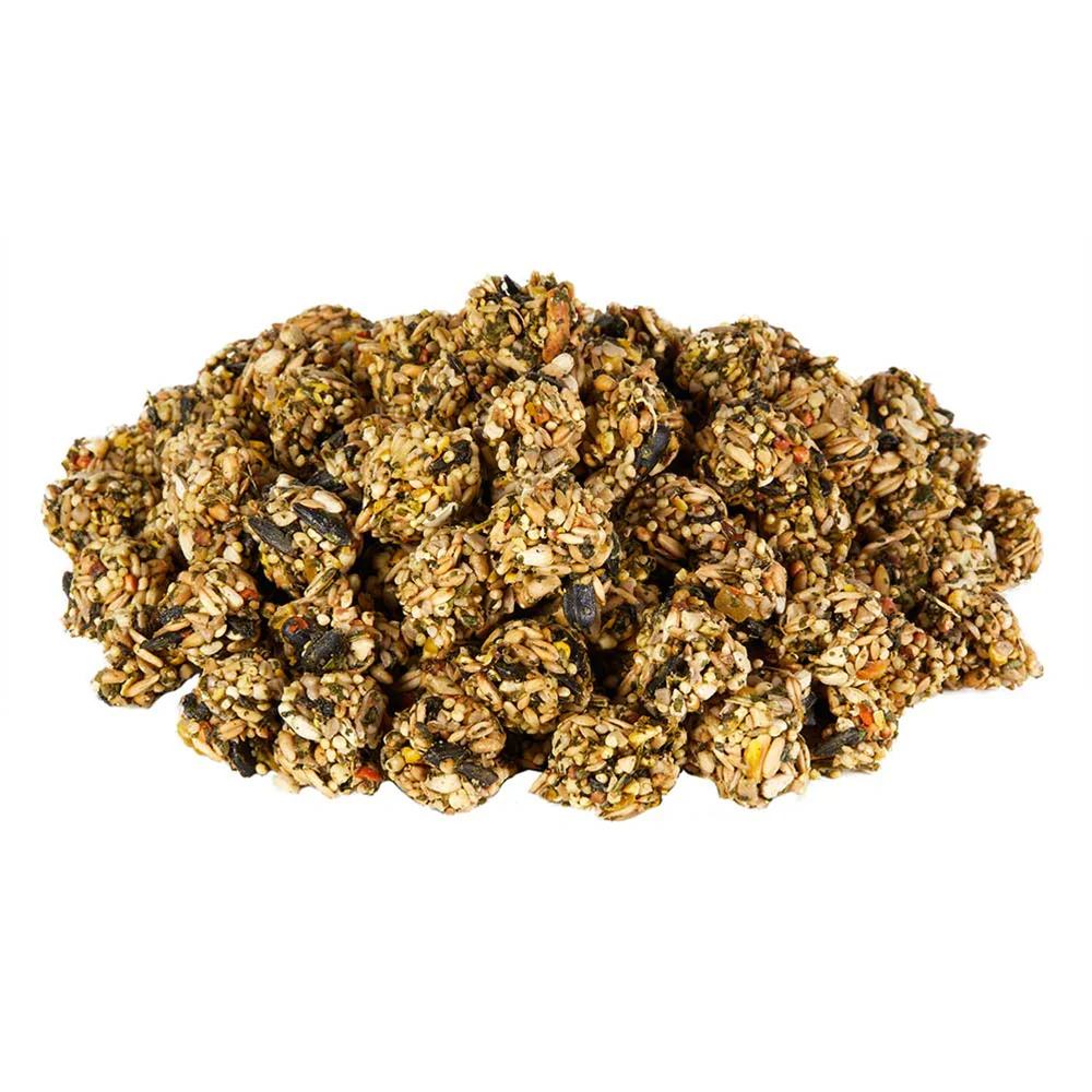 Kaytee Granola Bites with Superfoods Spinach & Carrot Small Animal Treats 4.5-oz - Image 7