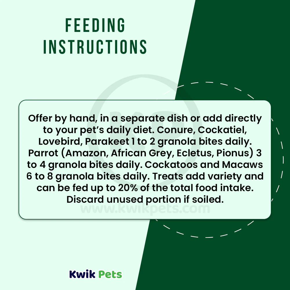 Kaytee Granola Bites with Superfoods Spinach & Kale Pet Bird Treats 4.5-oz - Image 6