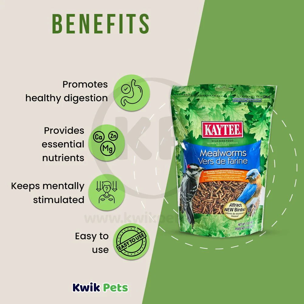 Kaytee Mealworms Wild Bird Food & Chicken Treat 7-oz - Image 4
