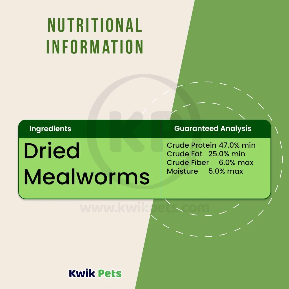 Kaytee Mealworms Wild Bird Food & Chicken Treat 7-oz - Image 5