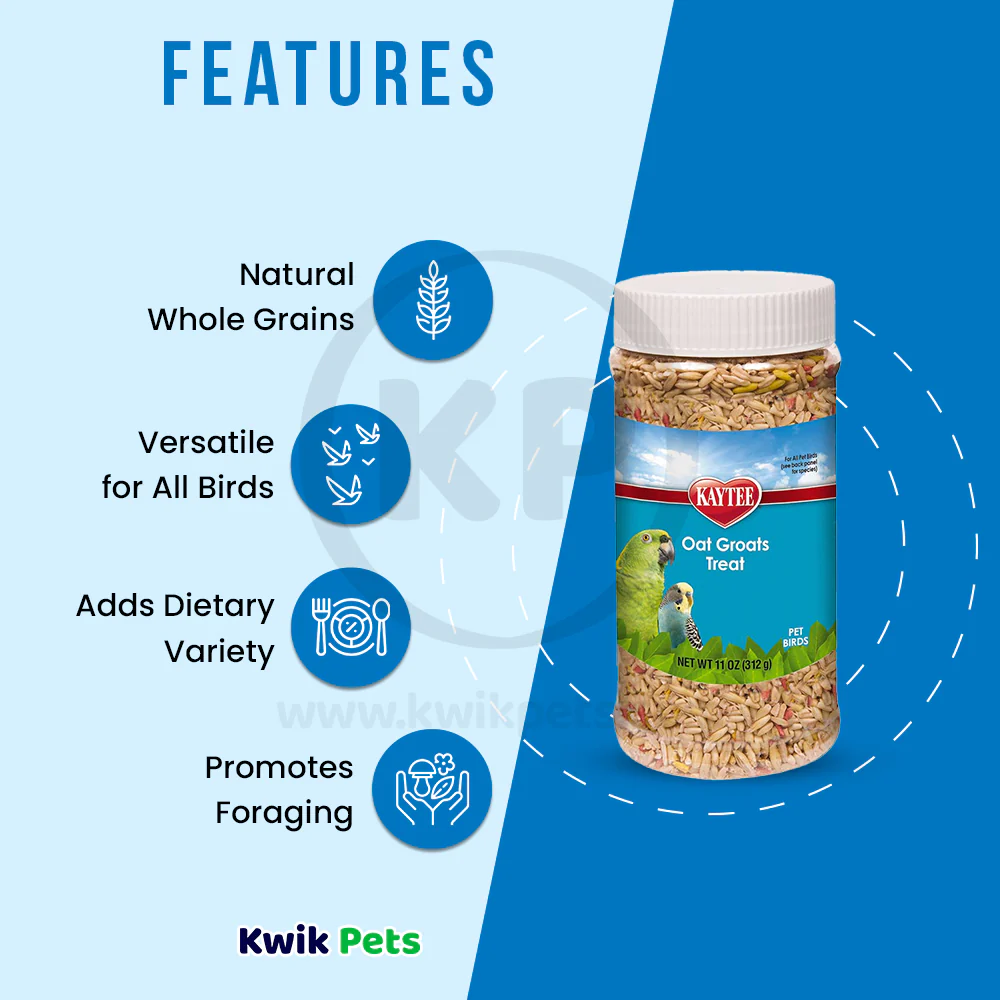 Kaytee Oat Groats Treat for All Pet Birds 11-oz - Image 3