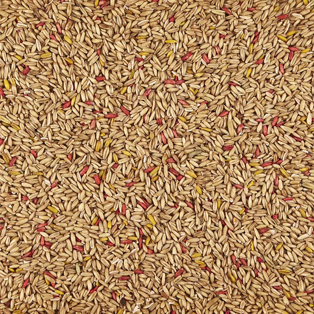 Kaytee Oat Groats Treat for All Pet Birds 11-oz - Image 7