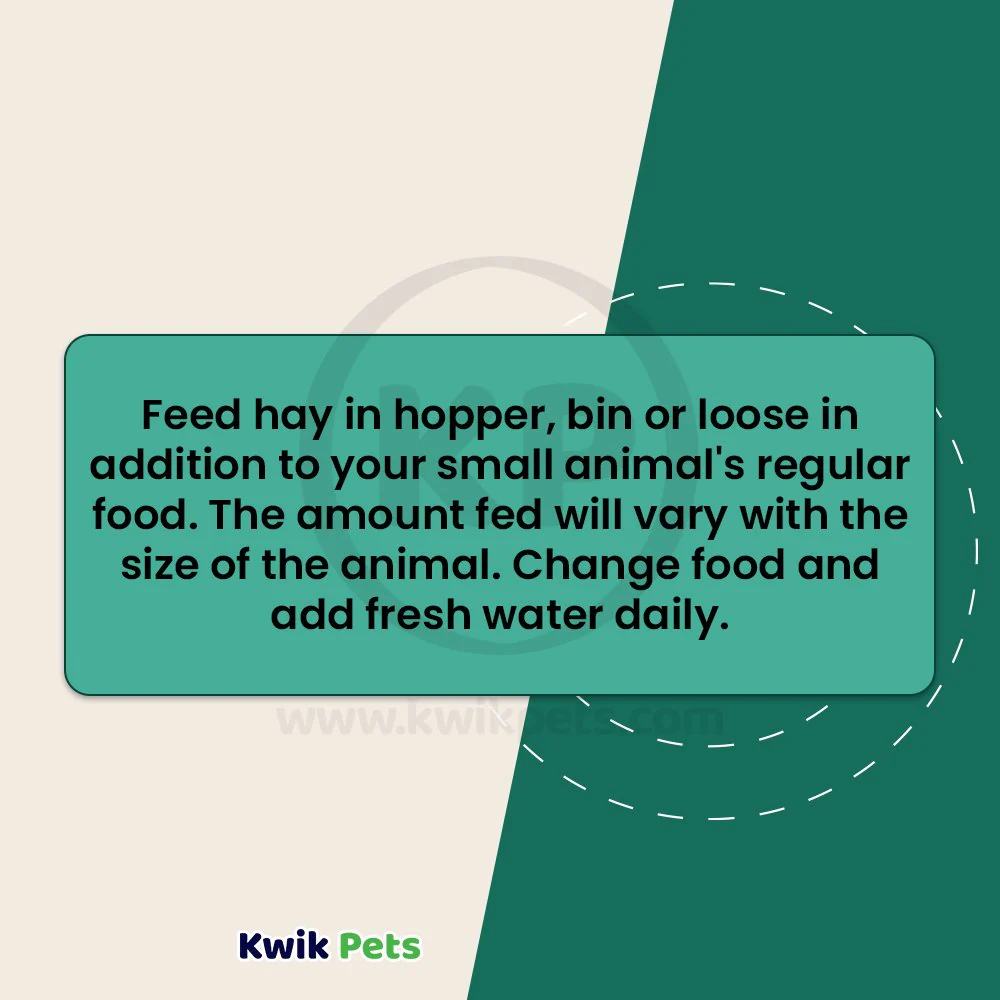 Kaytee Orchard Grass Hay for Small Animals 24-oz - Image 6