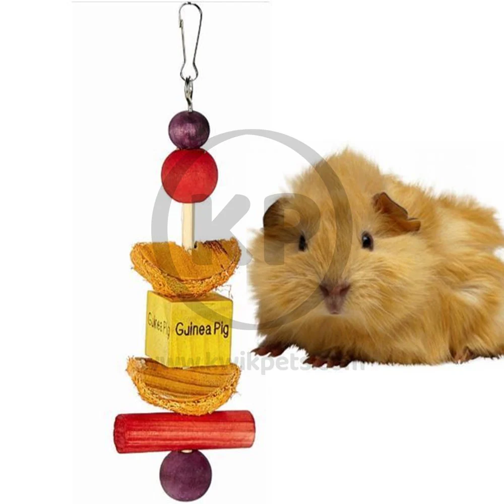 Kaytee Perfect Chews Guinea Pig Toy 1 in X 2.5 in X 9.3 in - Image 6