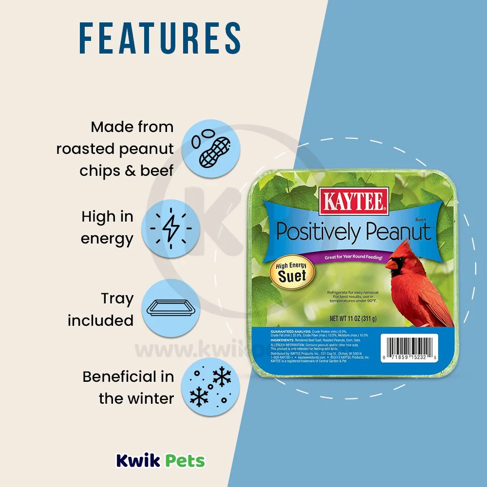 Kaytee Positively Peanut High Energy Wild Birds Mini Suet 11-oz - Image 2