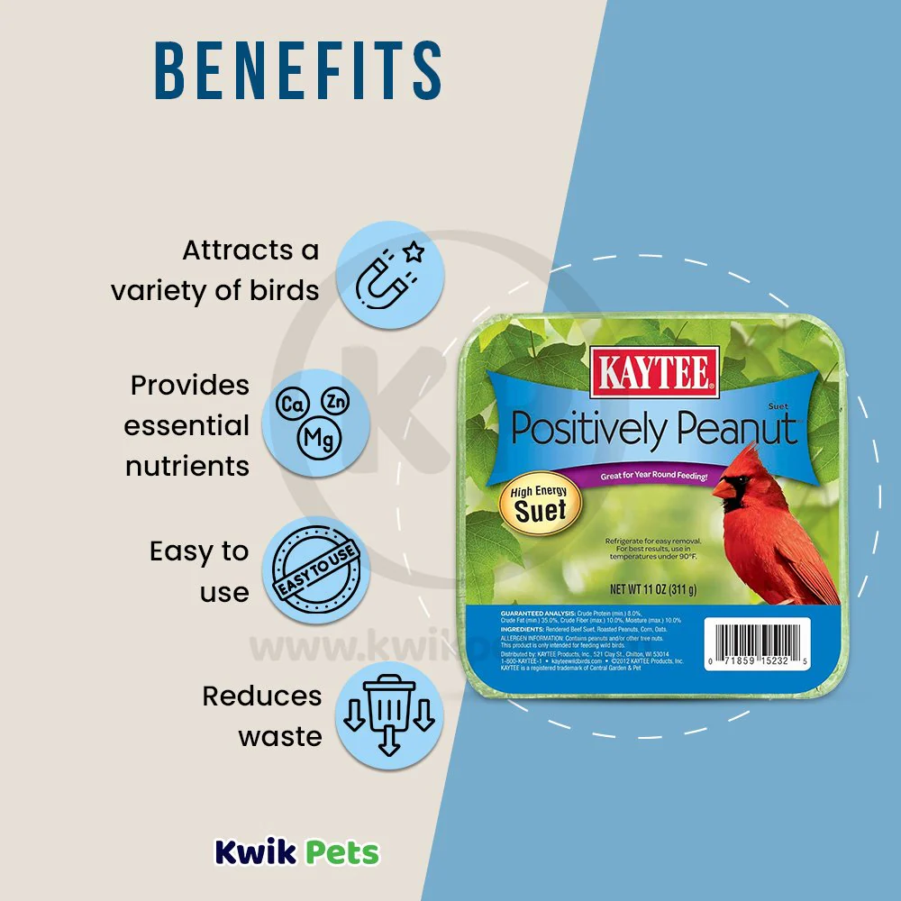 Kaytee Positively Peanut High Energy Wild Birds Mini Suet 11-oz - Image 3