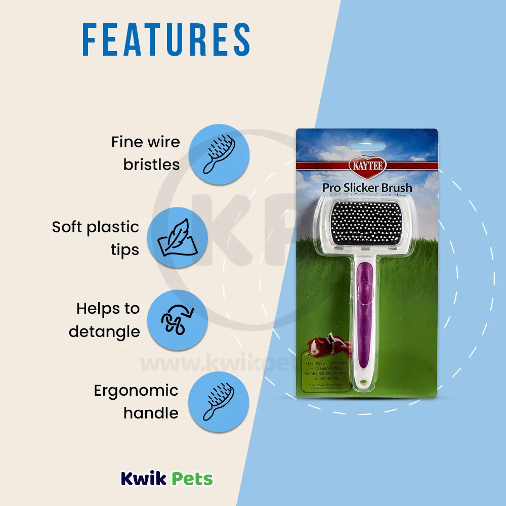 Kaytee Pro-Slicker Brush for Small Animals White - Image 3
