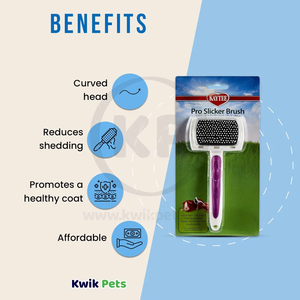 Kaytee Pro-Slicker Brush for Small Animals White - Image 4