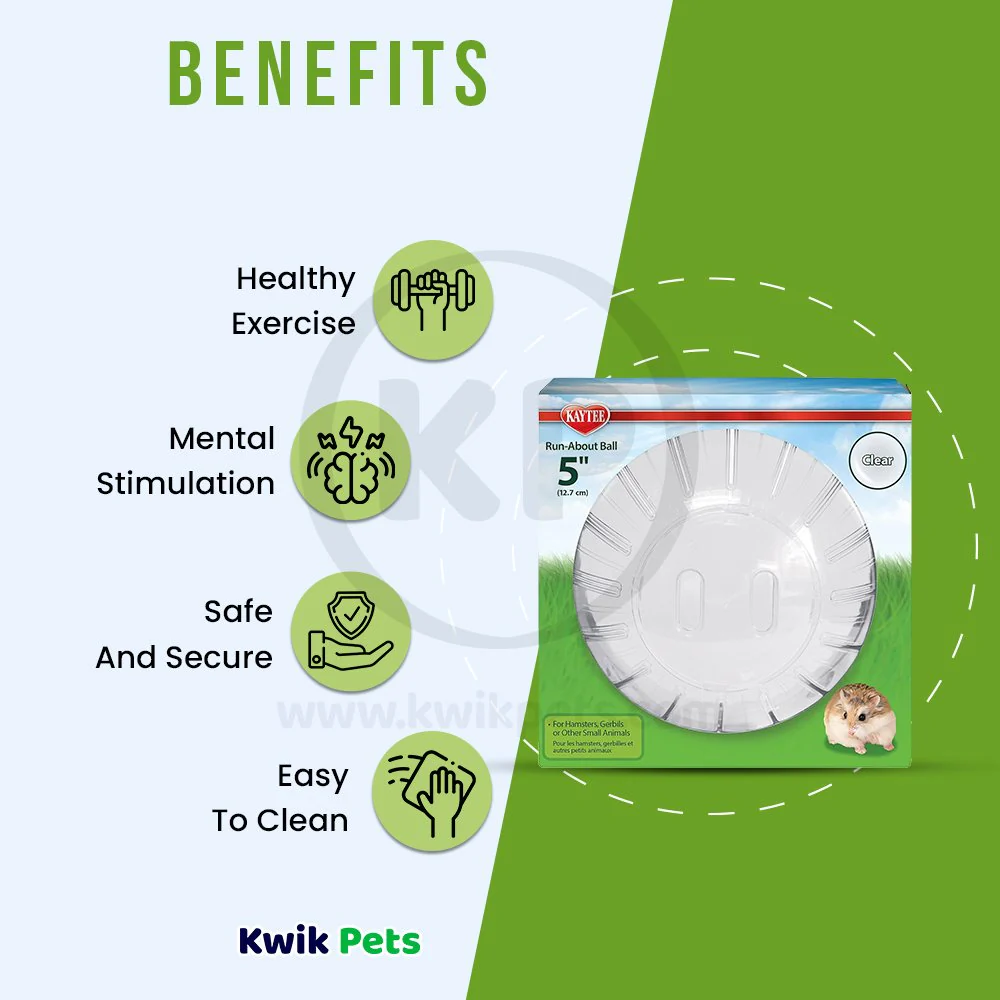 Kaytee Run-About Small Animal Mini Exercise Ball Clear 5-in - Image 4