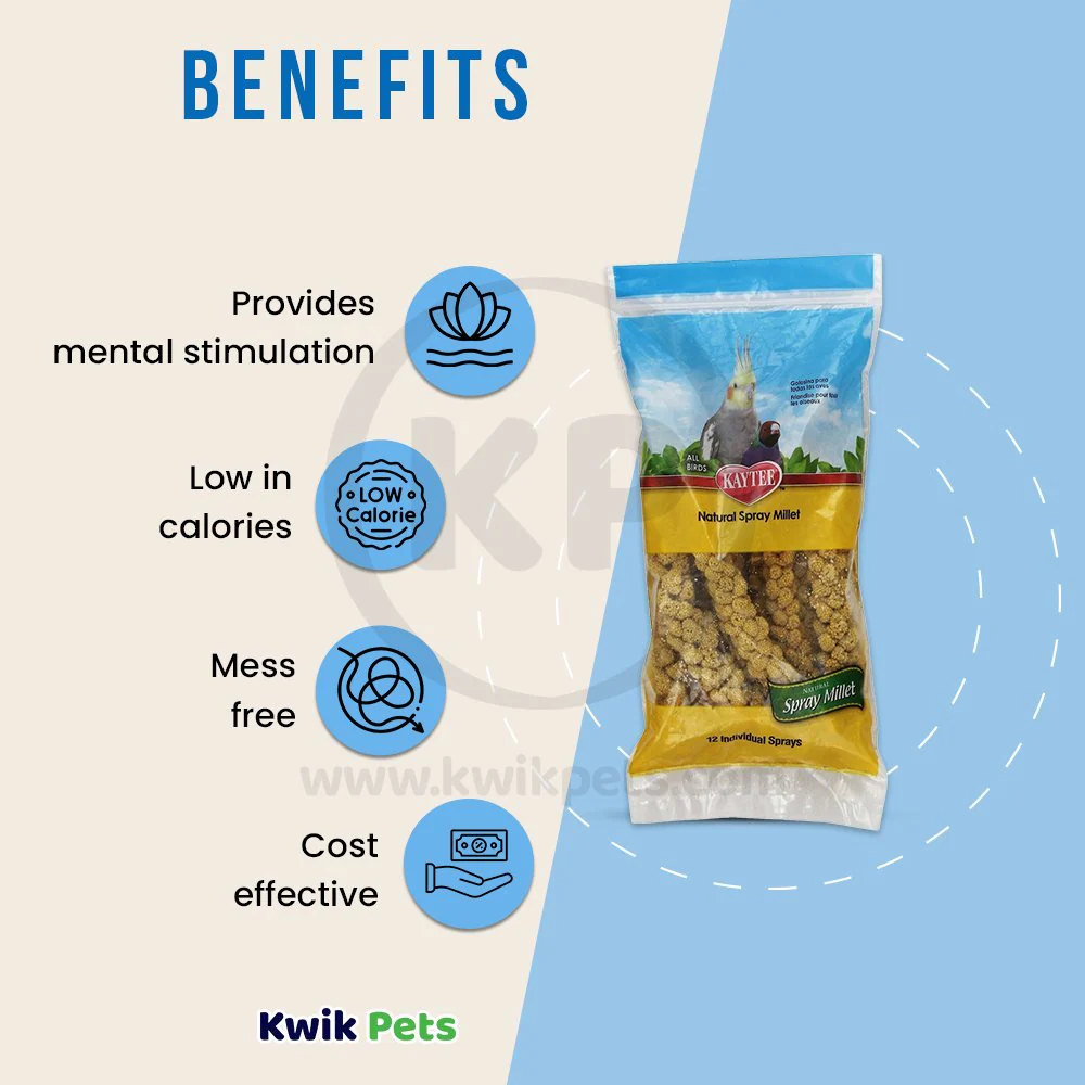 Kaytee Natural Spray Millet Bird Treats 12 Count 7-oz - Image 4