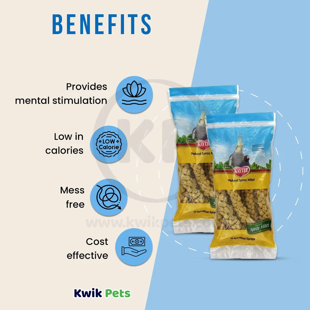 Kaytee Natural Spray Millet Bird Treats 2 Pack - Image 3
