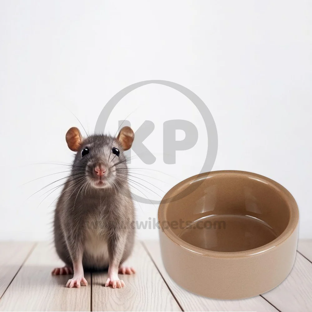 Kaytee Stoneware Pet Bowl 3-in - Image 4
