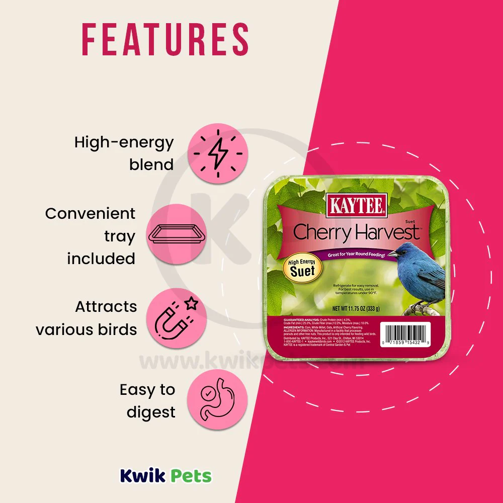 Kaytee Cherry Harvest High Energy Wild Bird Suet 11.75-oz - Image 2
