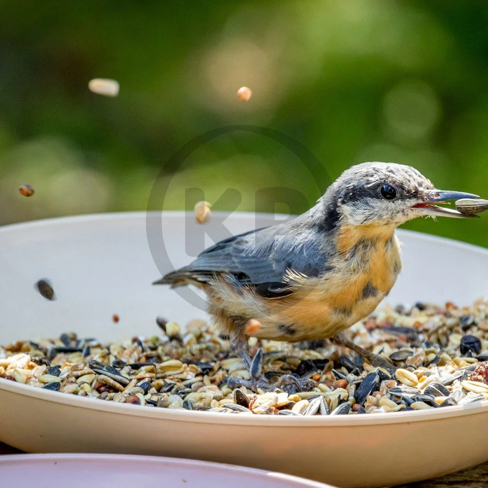 Kaytee Supreme Wild Bird Food 25-lb - Image 6