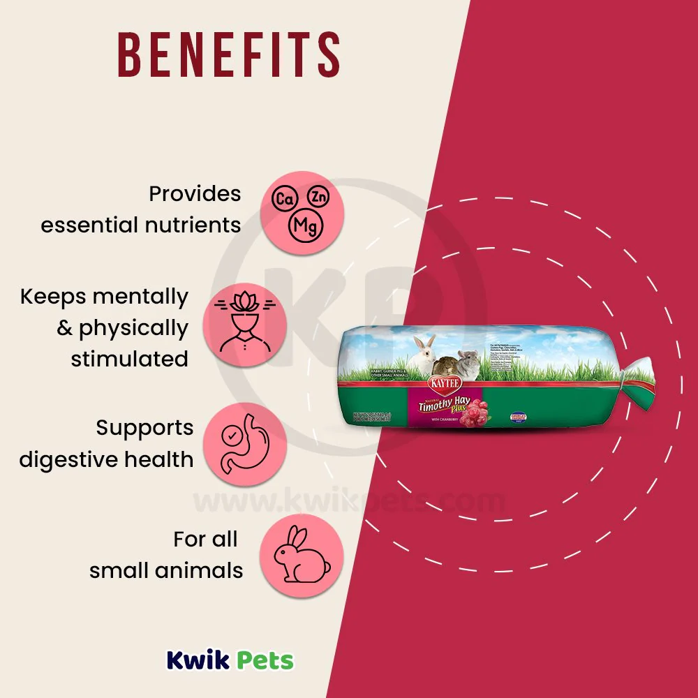 Kaytee Timothy Hay Plus Cranberries for Small Animals 24-oz - Image 4