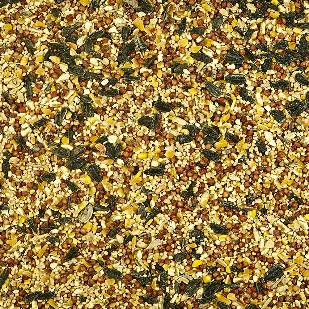 Kaytee Basic Blend Wild Bird Food 10-lb - Image 7