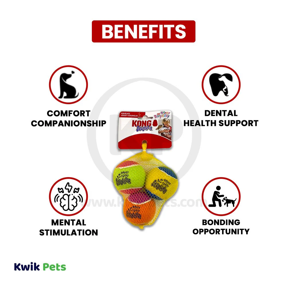 Kong Air Dog Squeakair Dog Toy Birthday Balls Medium 3 Count - Image 4