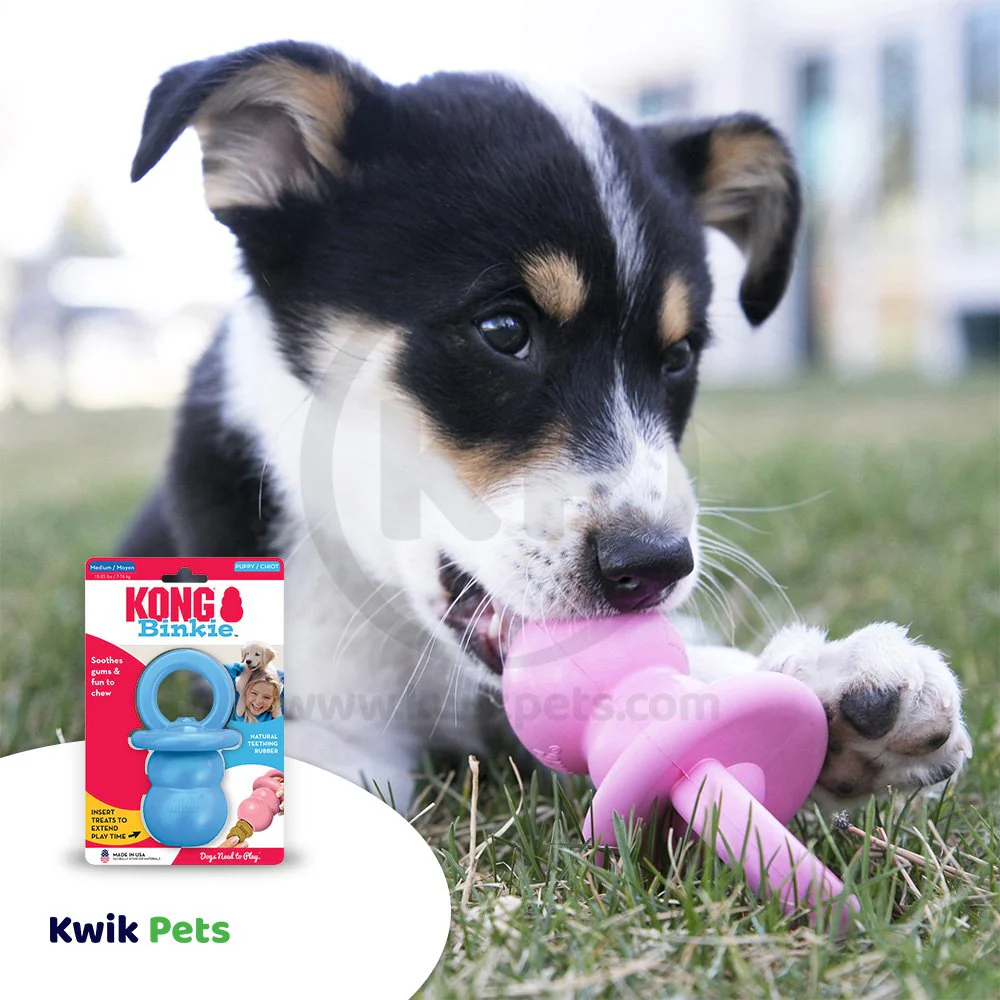 KONG Binkie Puppy Toy Assorted Medium - Image 6