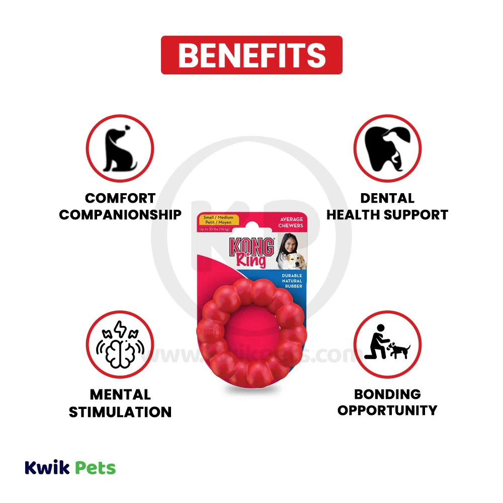 KONG Chew Ring Dog Toy Small/Medium - Image 3