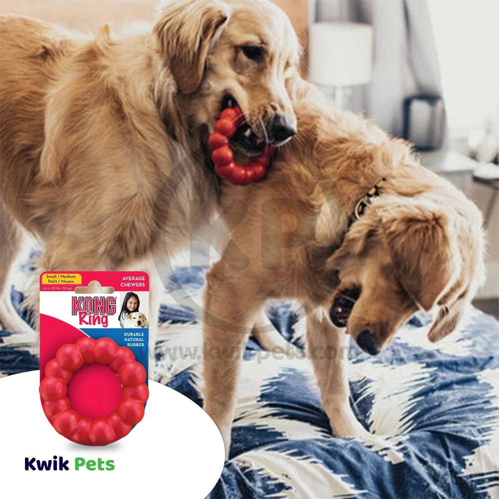 KONG Chew Ring Dog Toy Small/Medium - Image 4