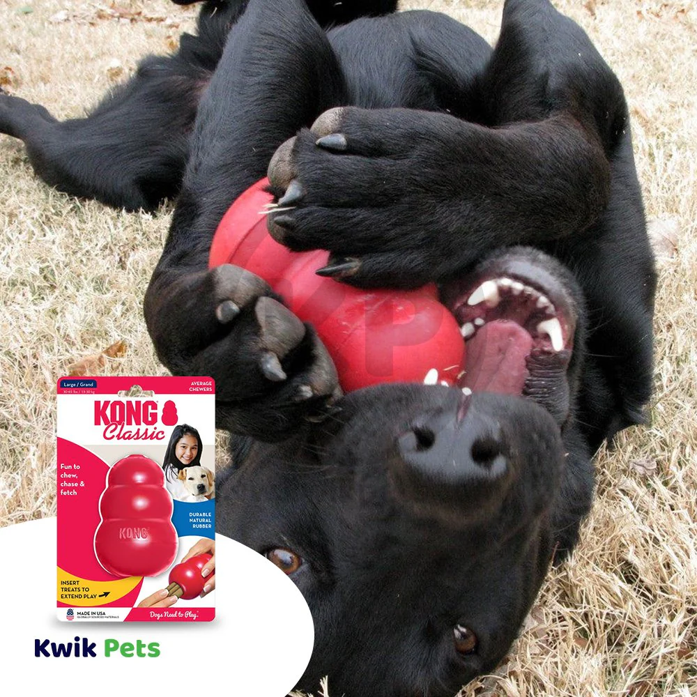 KONG Classic Dog Toy Large - Image 5
